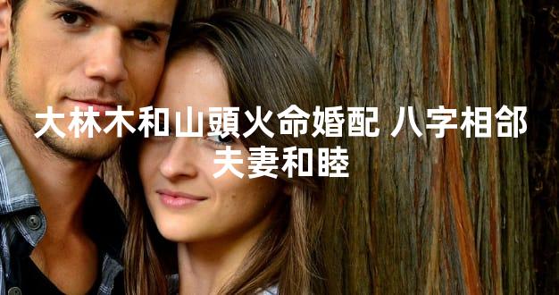 大林木和山頭火命婚配 八字相郃夫妻和睦